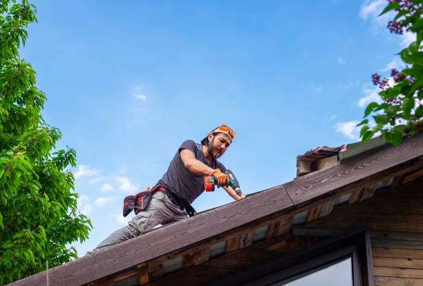 Best Gutter Replacement  in Norwood, PA